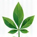Icono de salud y longevidad