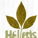 Filosofía Hombre Natura